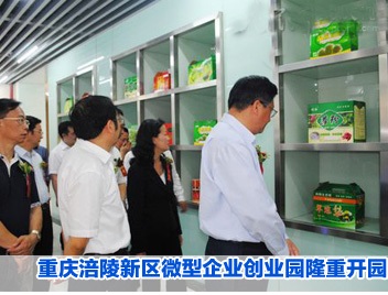 涪陵新區(qū)微型企業(yè)創(chuàng)業(yè)園