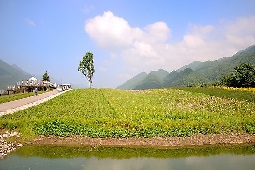 巫溪縣文峰微型企業(yè)孵化園